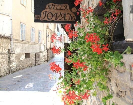 Villa Jovan Ohrid Luaran gambar