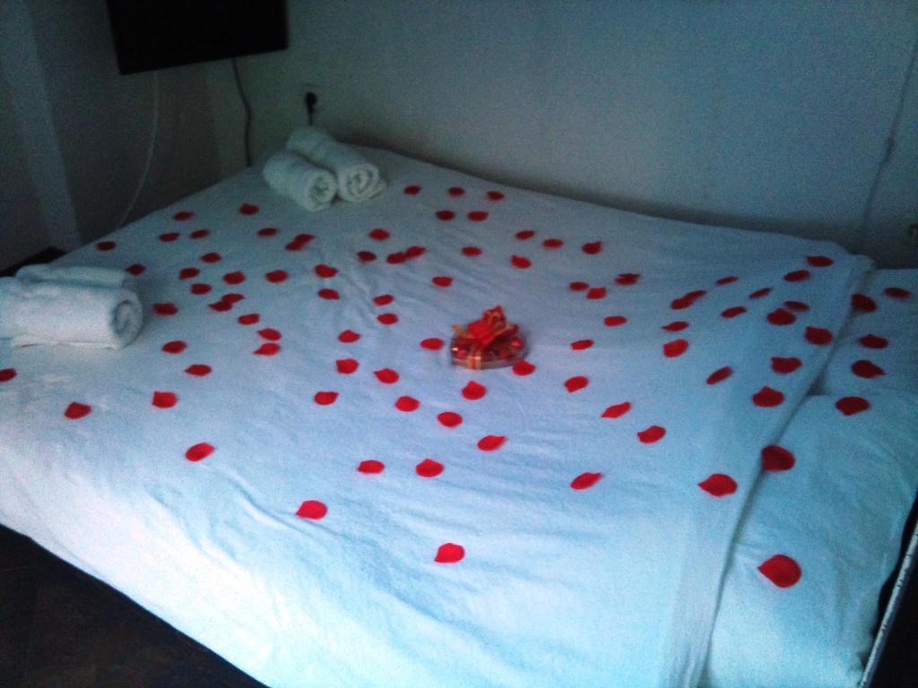 Villa Jovan Ohrid Bilik gambar